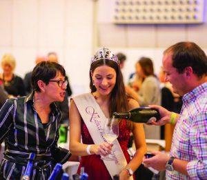 Uspešen 22. Festival vin