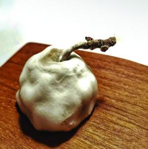 Plesnivo jabolko - mugaritz