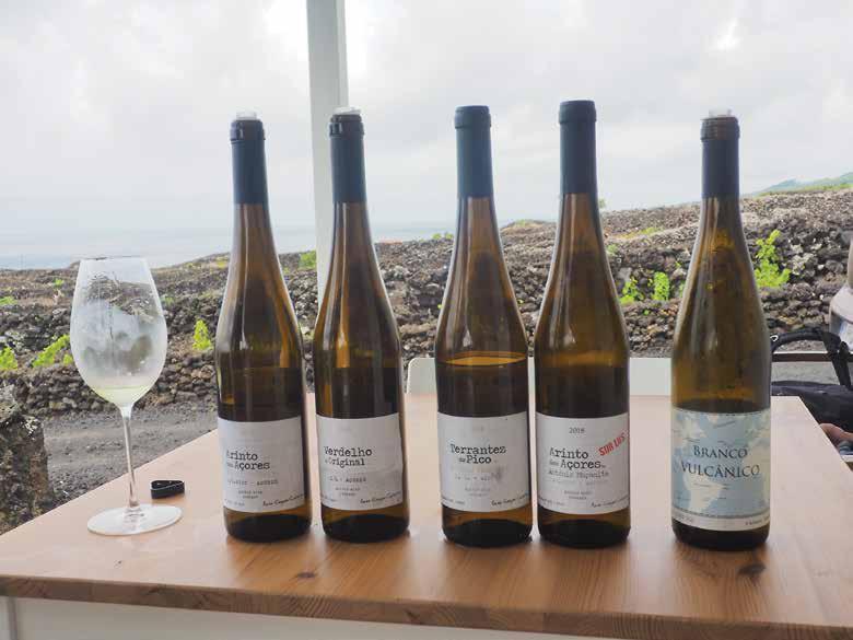 Cooperativa Vitivincola de Ilha do Pico nekaj vzorcev