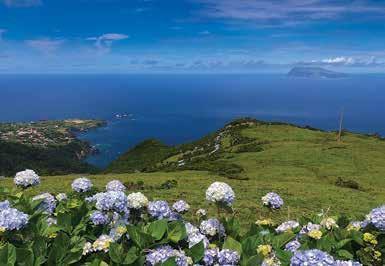 flores