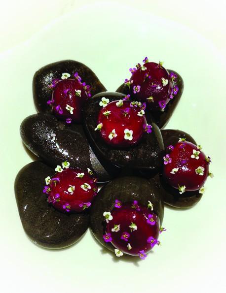 Geranium - »Rdeči kamenčki« jakobinke in hren