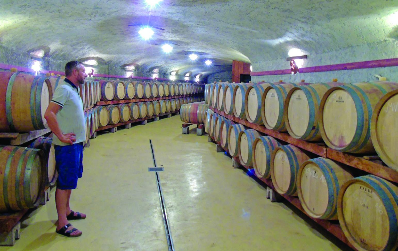 Ko se Aleks pogovarja s svojimi sodi