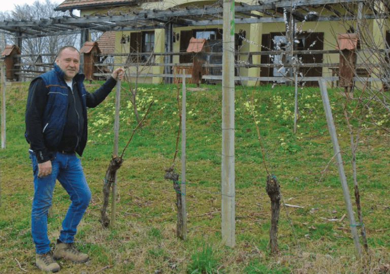 Vina za moj okus: MARJAN JELENIČ