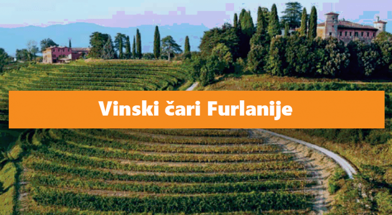 Vinski čari Furlanije – ena izmed najbolj cenjenih regij za bela vina