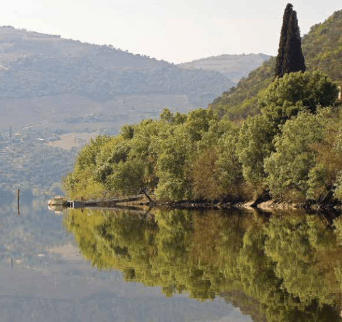 Izlet s čolnom po reki Douro