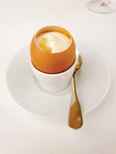 Vroče - hladno jajce