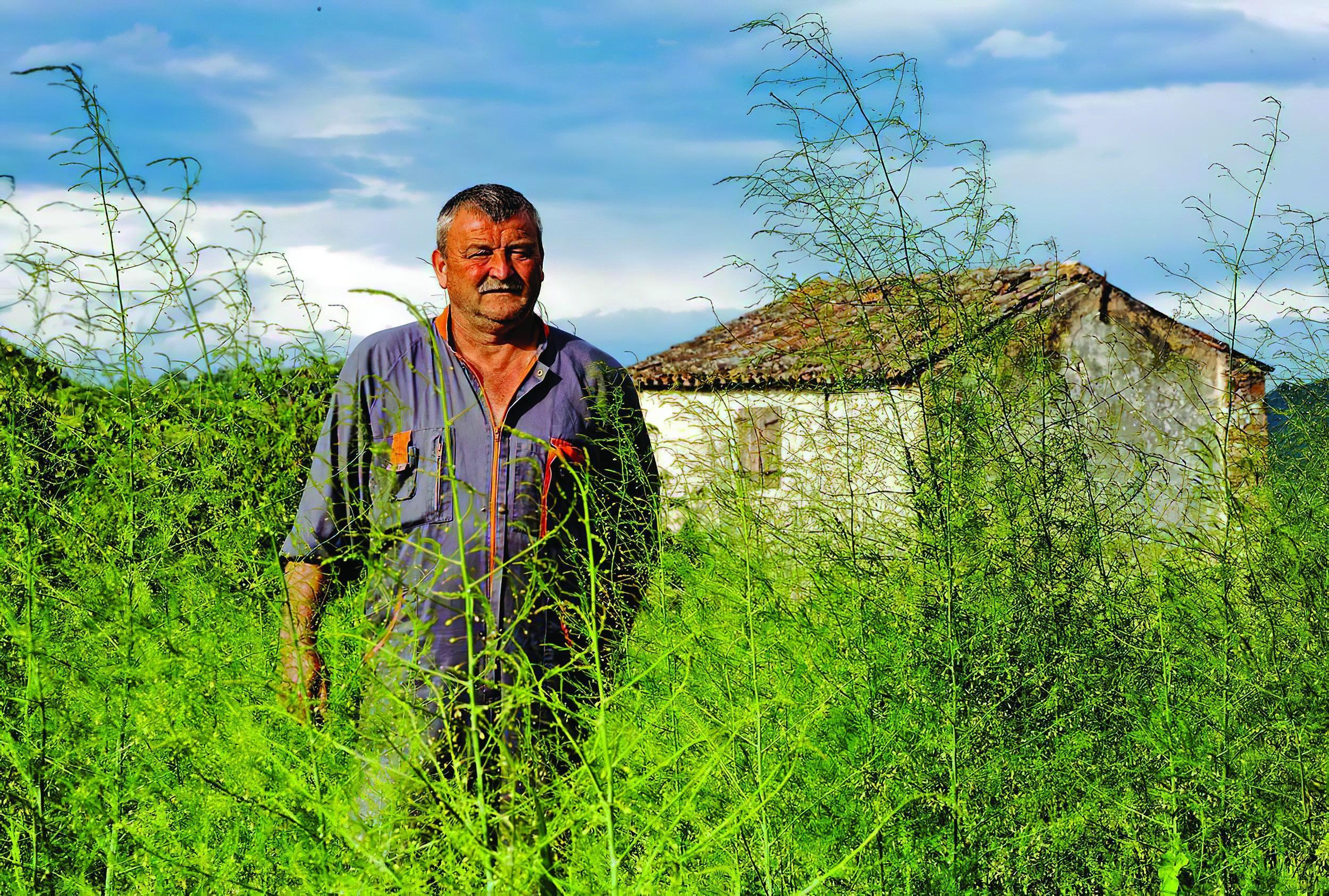 Egidio Žiber