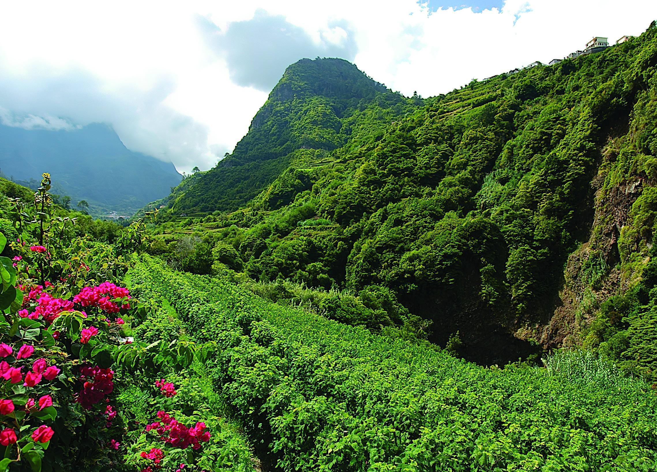Madeira