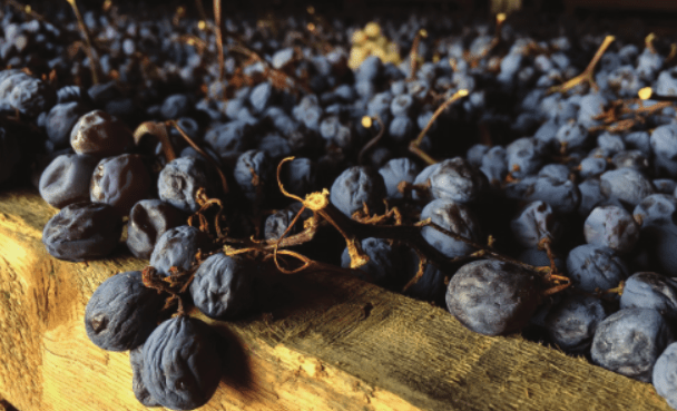 Sušenje grozdja za Amarone