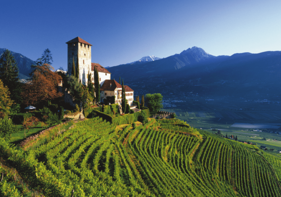 Vinogradi in gradovi