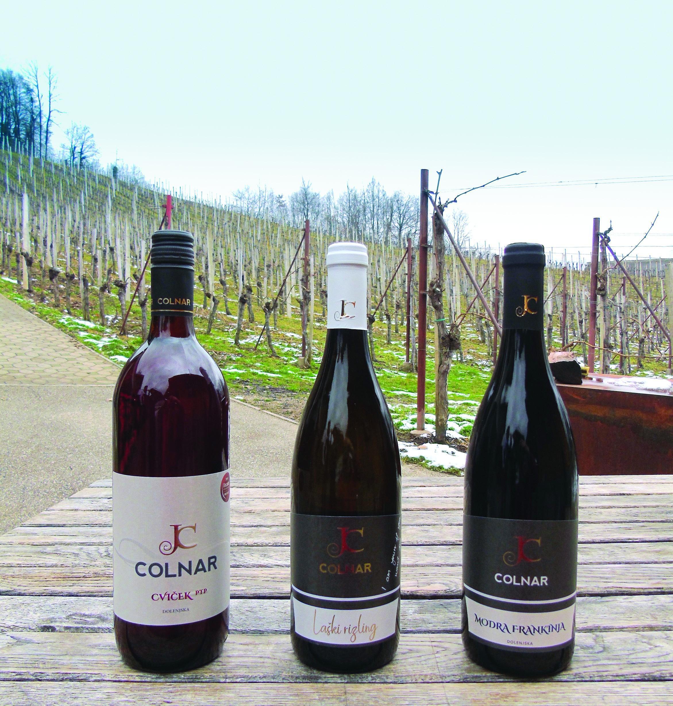 Pri Colnarjevih so šele dobro napeli svoje platno. Nanj so nanesli zgolj nekaj barve in že takoj ustvarili kar nekaj mojstrovin.