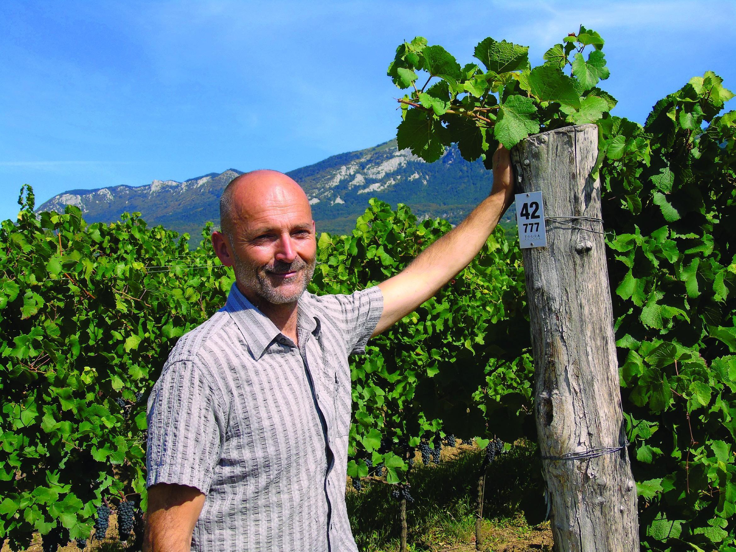 Matjaž Lemut - Tilia
