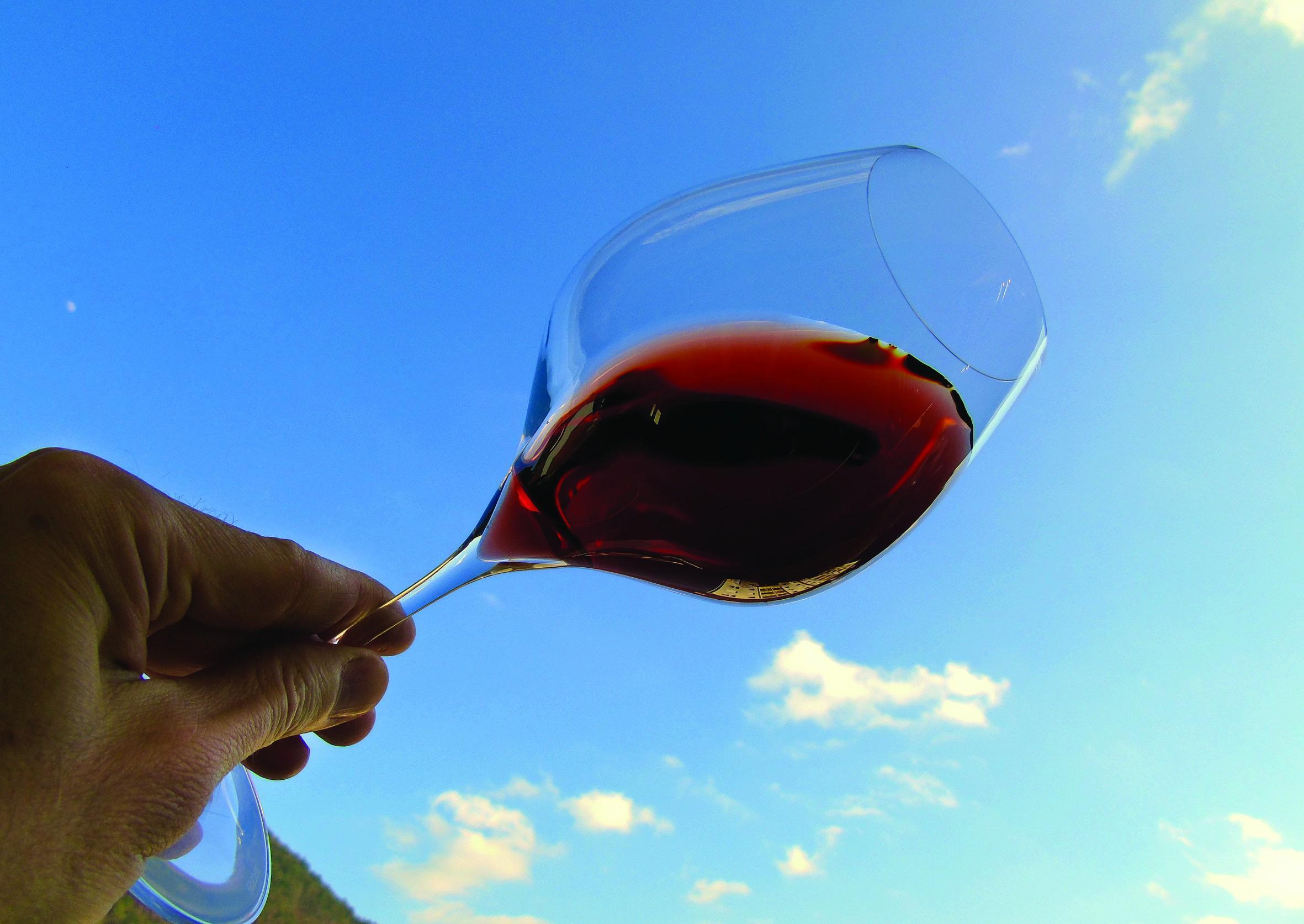 modri pinot