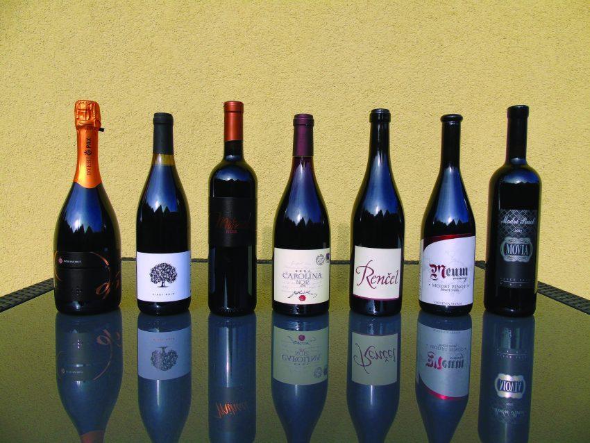 Modri pinot
