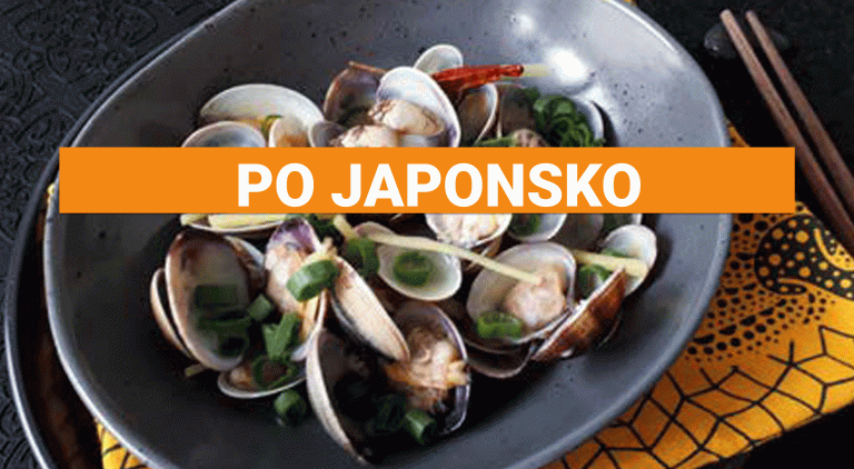 PO JAPONSKO