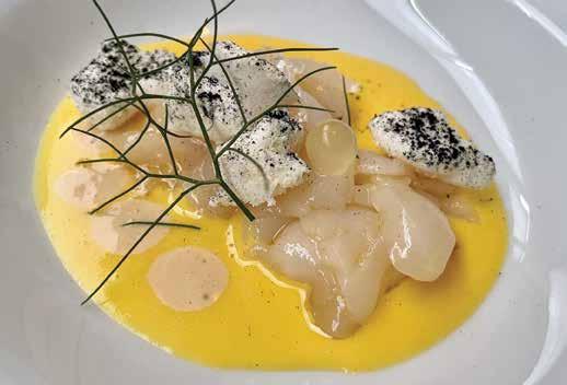 Surovi škamp v koruzni omaki z albuminsko skuto in žogico iz limonovega soka