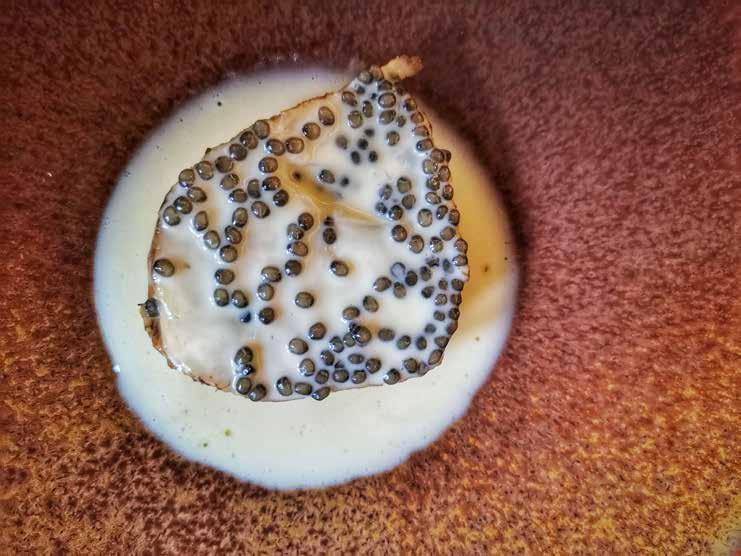 Rijks - zelena s kaviarjem.