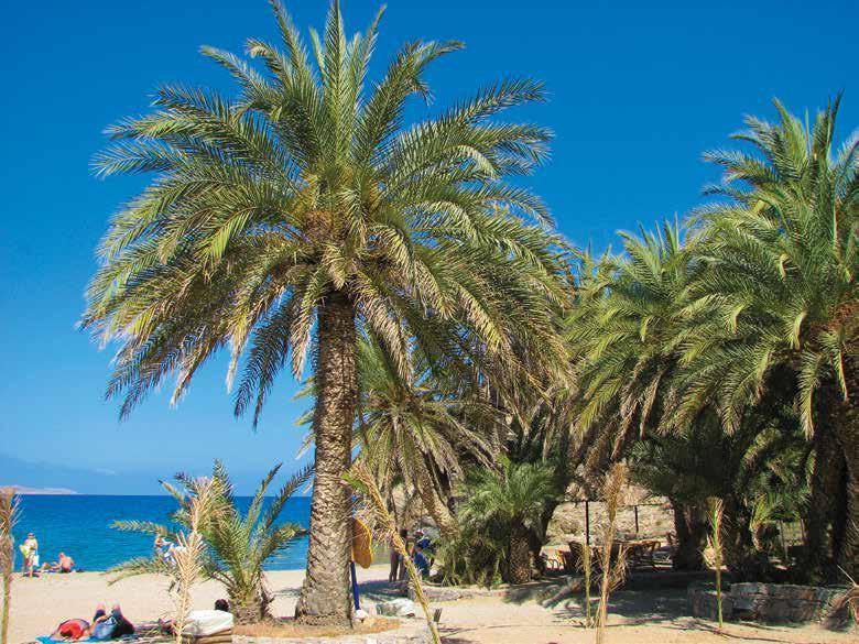 kreta