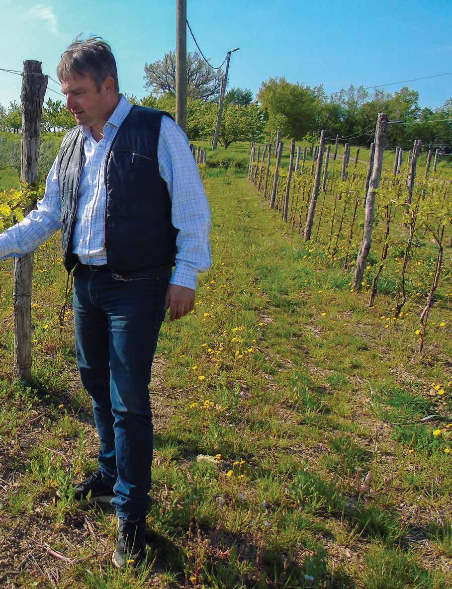 Prinčič