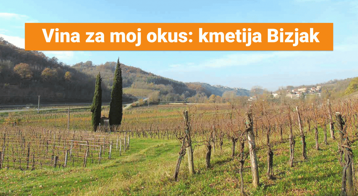 Bizjak