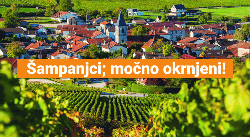 šampanjci