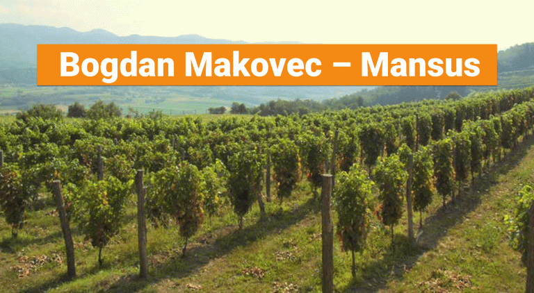 Bogdan Makovec – Mansus