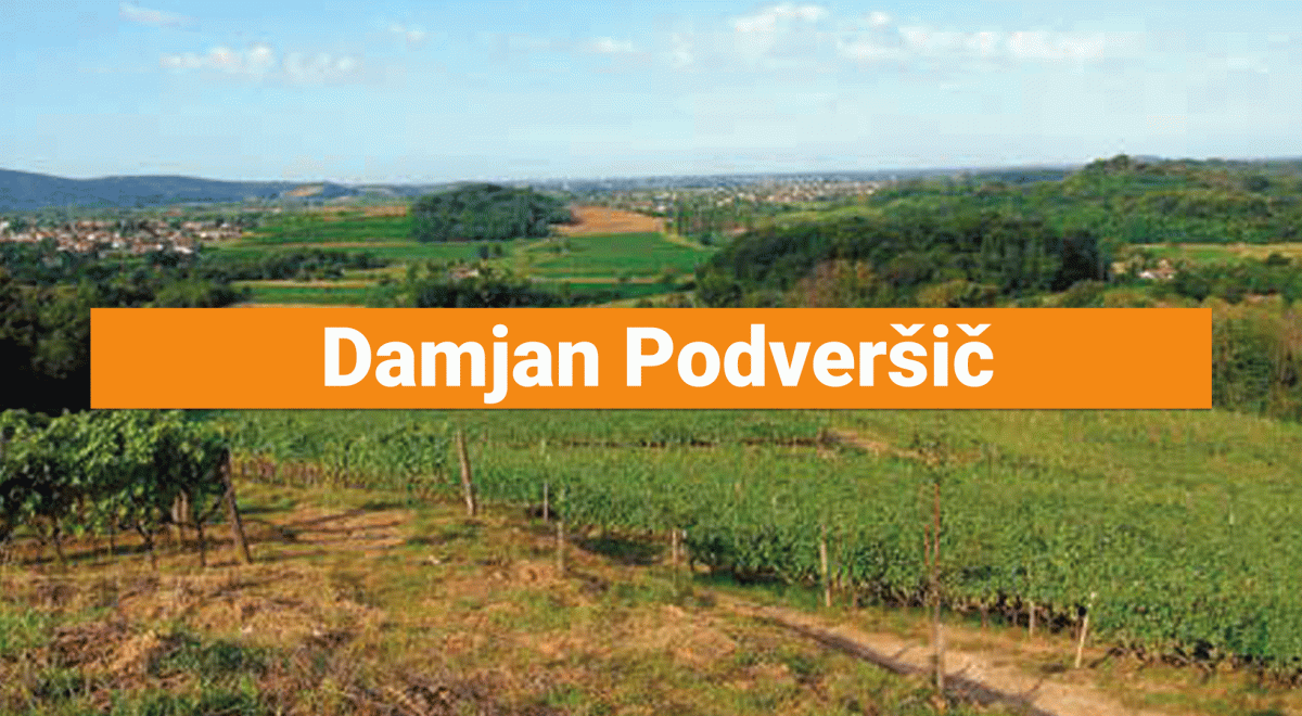 Damjan-Podveršič