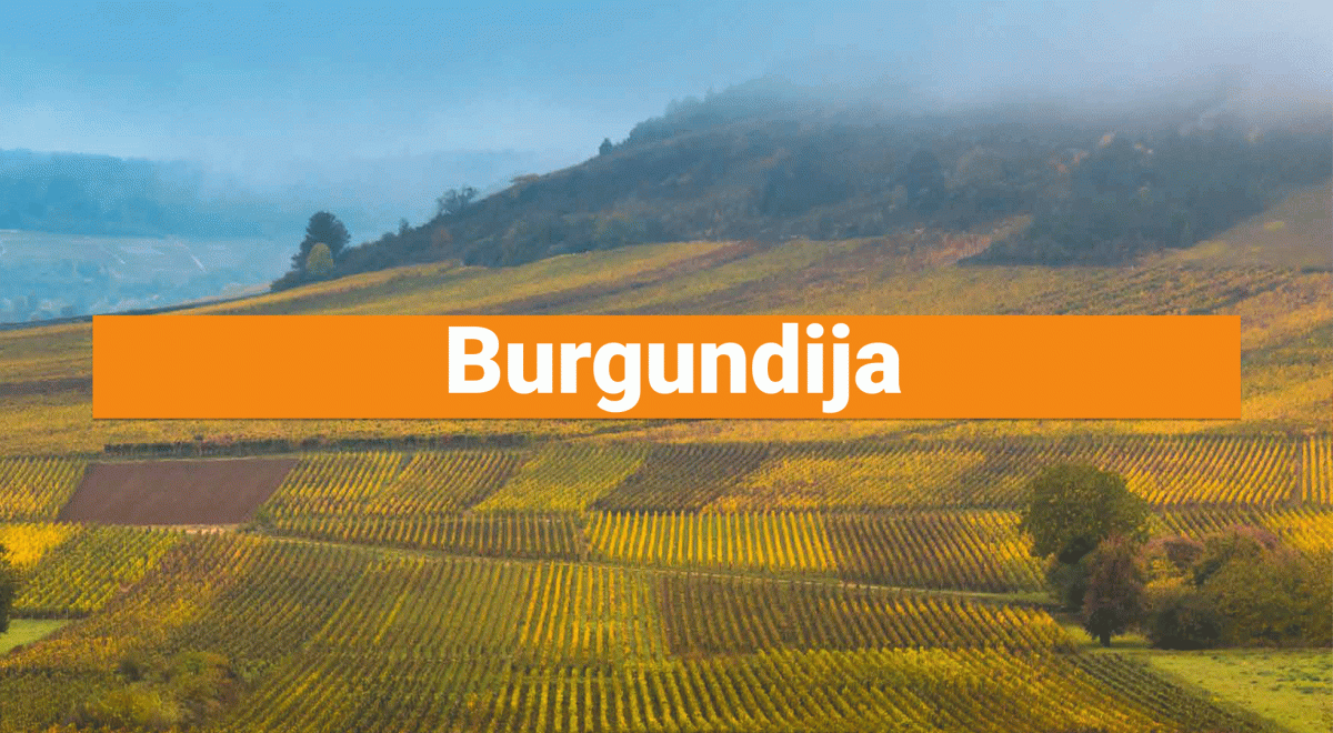 Burgundija