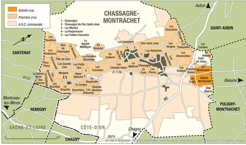 Kako so razdeljeni vinogadi v občini chassagne-montrachet.