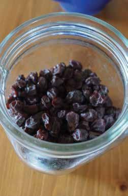 Posušene botritične jagode