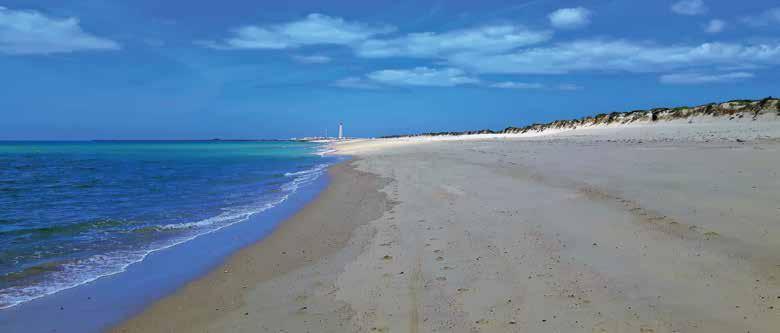  Algarve