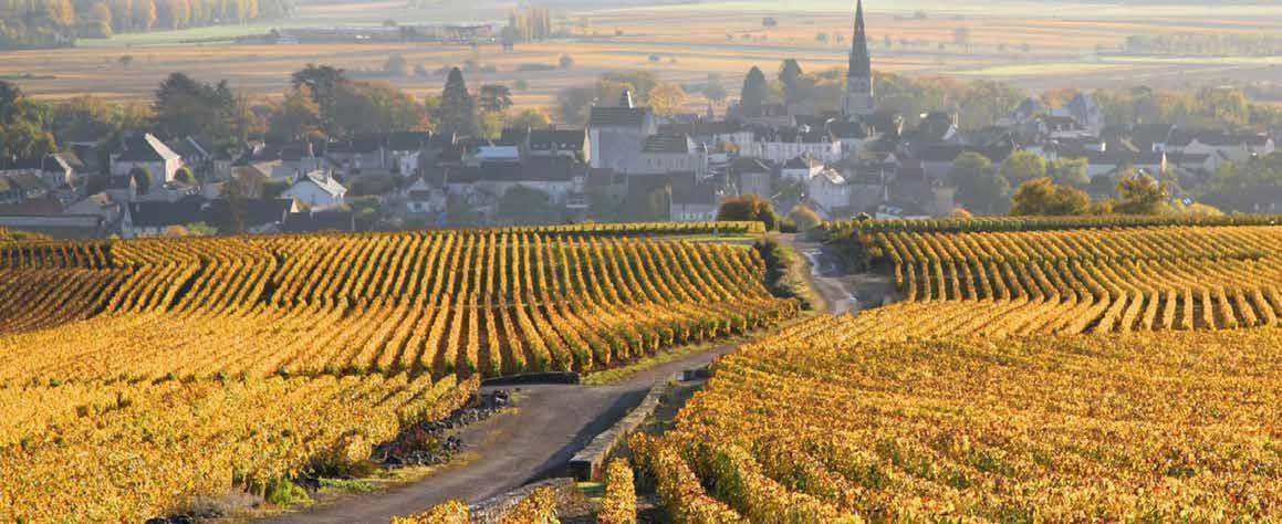burgundija