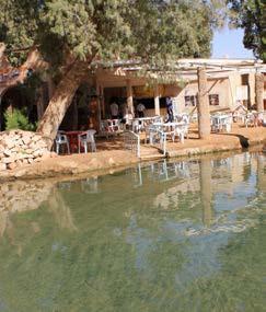 Oaza s privlačnim izvirom – Ksar Ghilane.