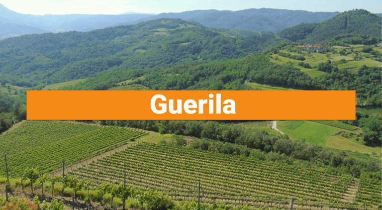 Guerila