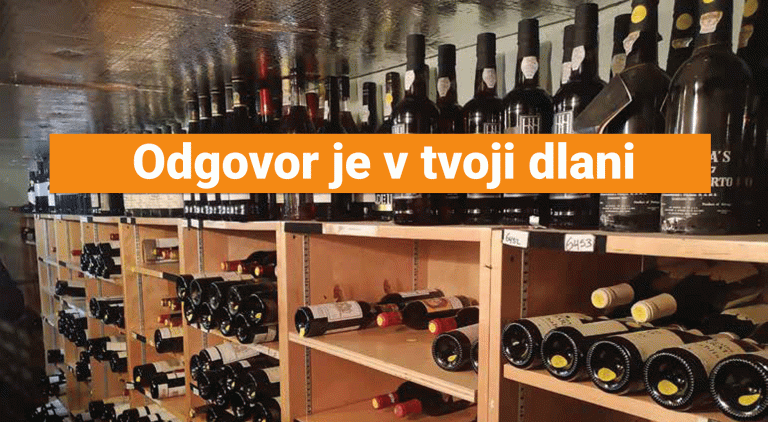 ODGOVOR JE V TVOJI DLANI