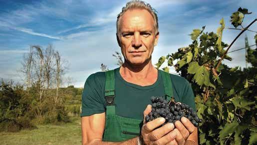 Sting