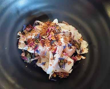 Krškopoljec s tuno.