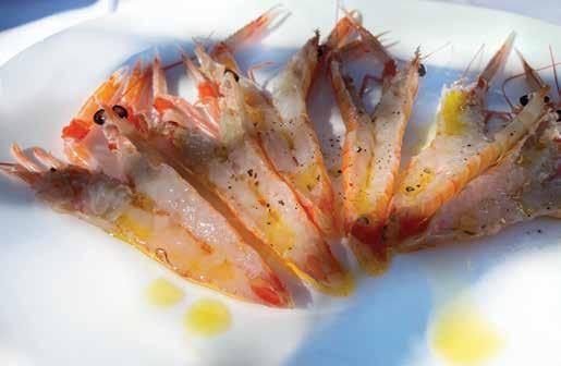 Surovi škampi z olivnim oljem