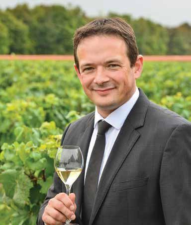 Clement Pierlot, novi enolog kleti Pommery