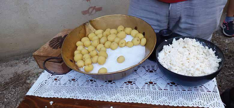 kolesa