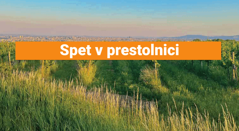 Spet v prestolnici