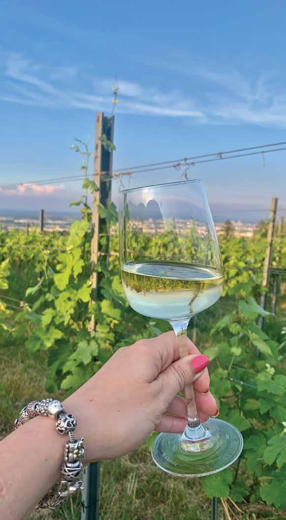 vino