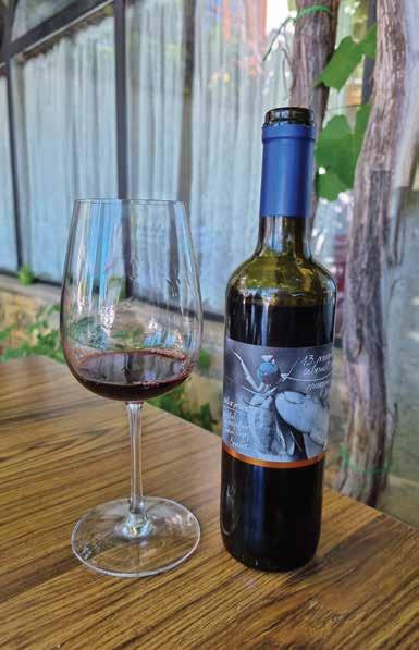 Vina Cigoj