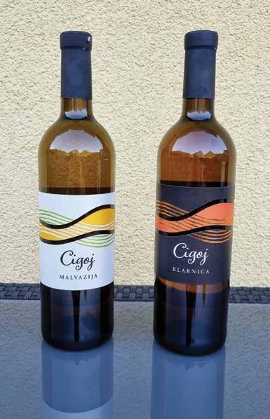 Vina Cigoj