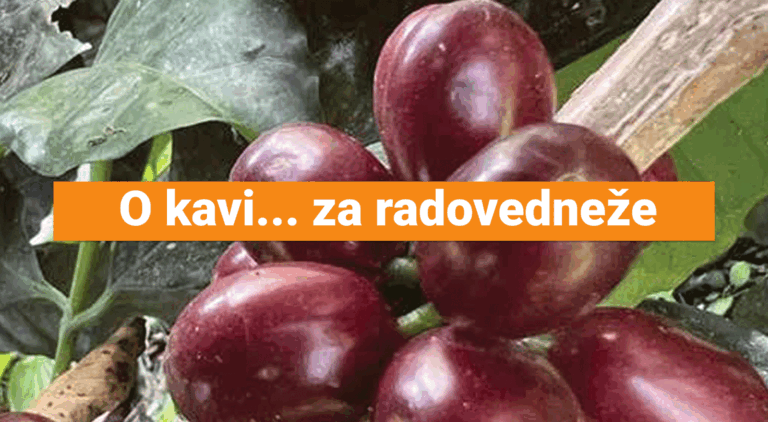 O kavi… za radovedneže