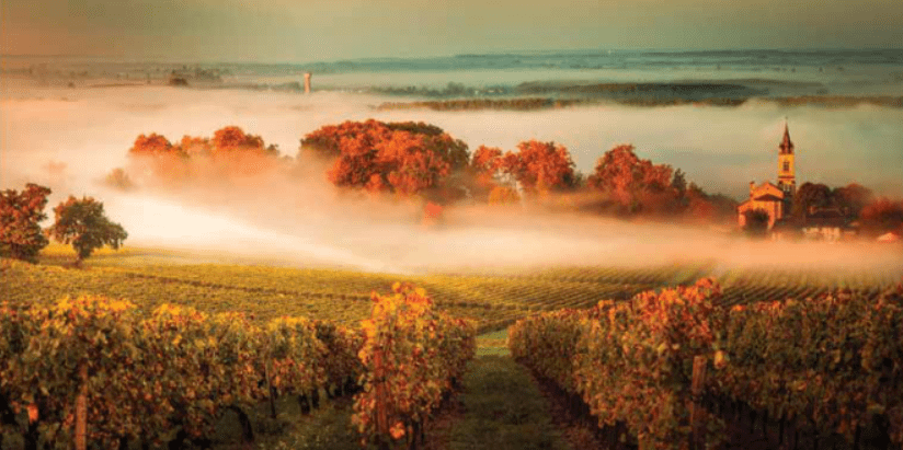 Bordeaux