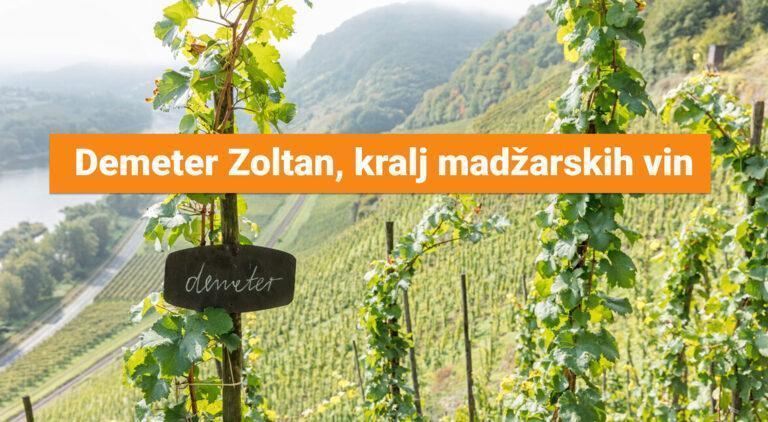 Demeter Zoltan