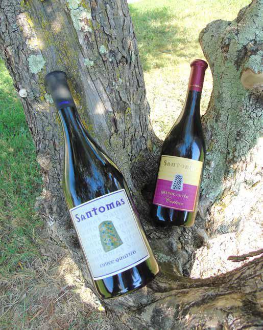 Vina Santomas