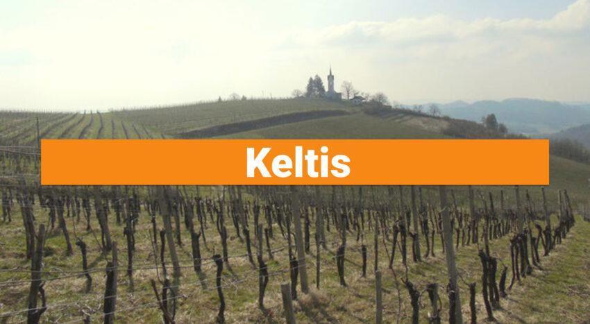 keltis