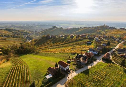 Pogled na Lendavske Gorice z vinogradi iz stolpa Vinarium